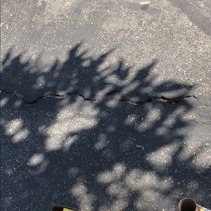 Meet your Posher, Bridget